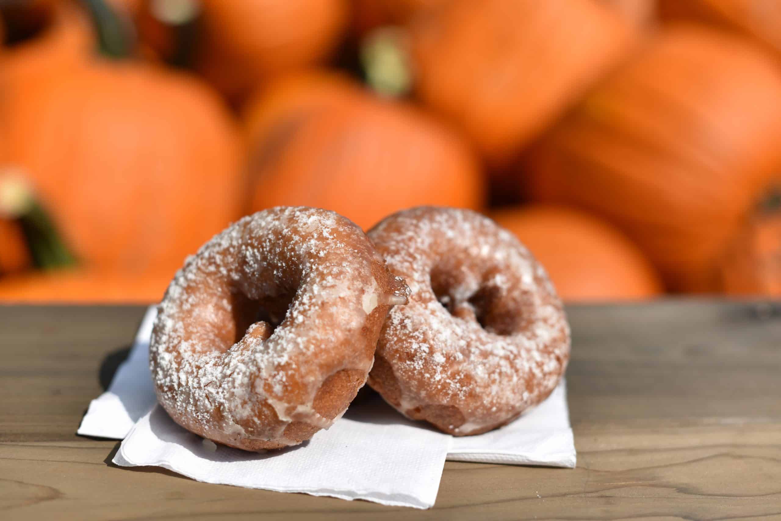 Apple Cider Donuts with Pumpkins